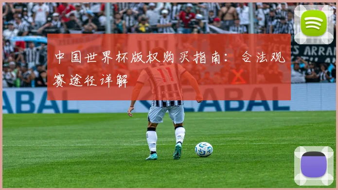 中国世界杯版权购买指南：合法观赛途径详解