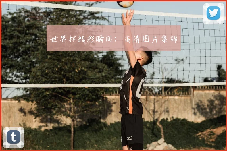 世界杯精彩瞬间：高清图片集锦