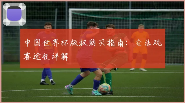 中国世界杯版权购买指南：合法观赛途径详解
